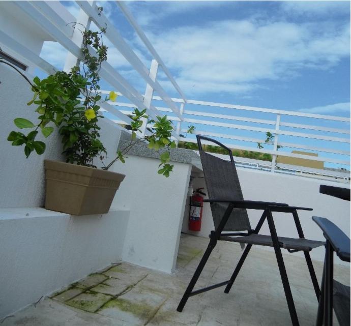 Palmarena Rooms & Residences - Long Stay Comfort With Parking, Sauna, Gym & Pool - Steps From 5Th Avenue Πλάγια Ντελ Κάρμεν Εξωτερικό φωτογραφία