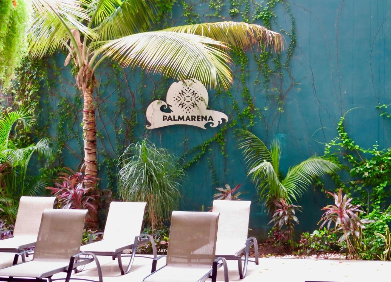 Palmarena Rooms & Residences - Long Stay Comfort With Parking, Sauna, Gym & Pool - Steps From 5Th Avenue Πλάγια Ντελ Κάρμεν Εξωτερικό φωτογραφία